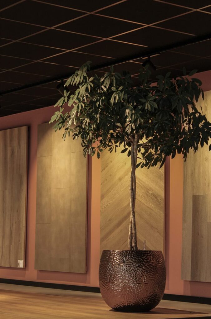 Boom in een koperen pot voor PVC-panelen in de VloerX-showroom